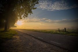 Mystischer Morgen von Sandra de Vries-Köhler