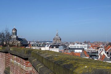 Zicht over Leiden  vanaf de Burcht van Peter Bartelings