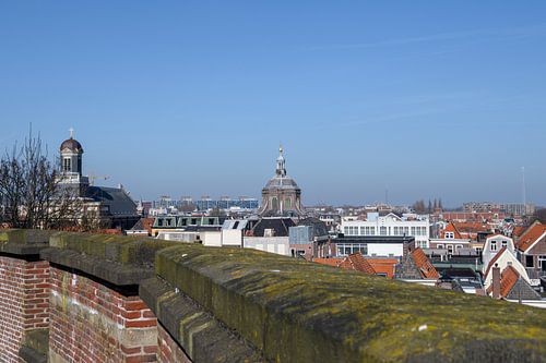 View over Leiden from the Burcht
