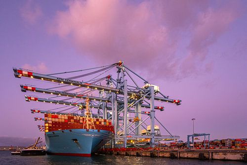 Containership 7