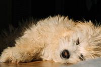 Keep calm and relax!