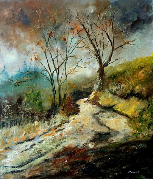 Houtpad van pol ledent