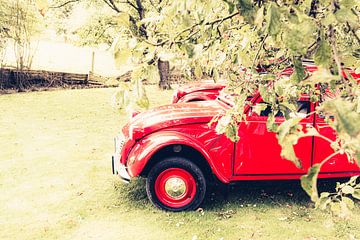 Two Citroën 2CV resting in an apple orchard on a beautiful summer day in Belgium by Bas Meelker