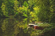 Romantisch meer in het Beierse Woud van Aurica Voss thumbnail