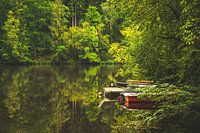 Romantisch meer in het Beierse Woud
