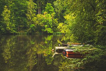 Romantisch meer in het Beierse Woud van Aurica Voss