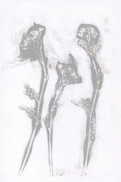 Grijze bloemen in retro stijl. Moderne botanische minimalistische kunst in grijs en wit van Dina Dankers