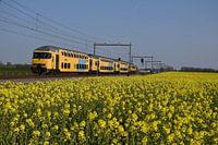 DDAR in spring