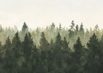 Cloud forest