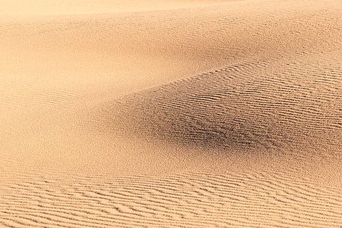 Abstract patterns in the sand