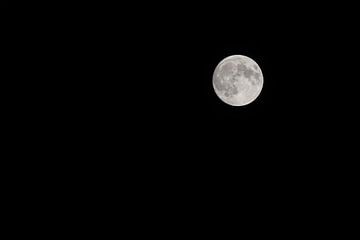 Volle maan van Werner Lerooy