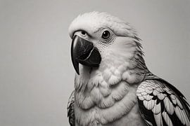 Minimalistischer Kakadu in Schwarz und Weiß von Art & Soul Creations