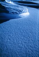 Neige #23
