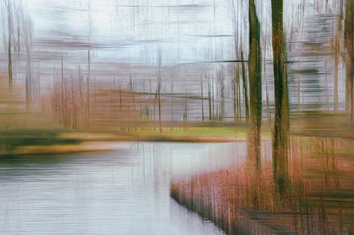 Hemmensebos partie 11