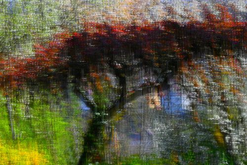 LE JARDIN MAGIQUE 4