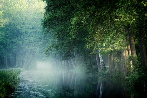 Fluss Nebel