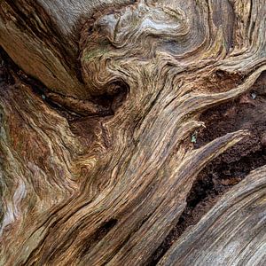 Abstrakt in der Natur