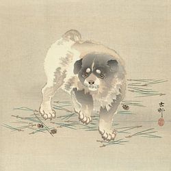 Shin-hanga