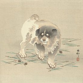 Ohara Koson - Hündchen (bearbeitet) von Peter Balan