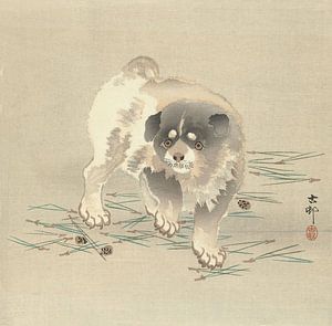Ohara Koson - Hündchen (bearbeitet)