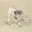 Shin-hanga