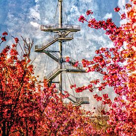 Vue sur les cerisiers en fleurs sur Holger Felix