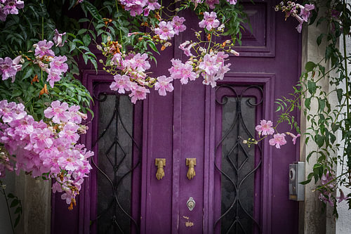 Vieille porte violette ornée de fleurs violettes (à Tavira, Algarve, Portugal)