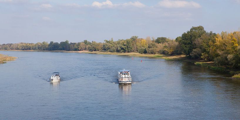 Die Elbe bei Magdeburg (Sachsen-Anhalt) von t.ART