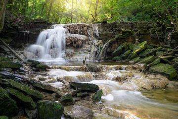 Waterval, Zuid-Eifel, Rijnland-Palts, Duitsland van Alexander Ludwig