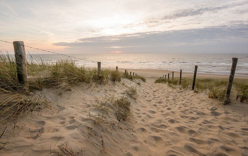 Strandleven par Dirk van Egmond