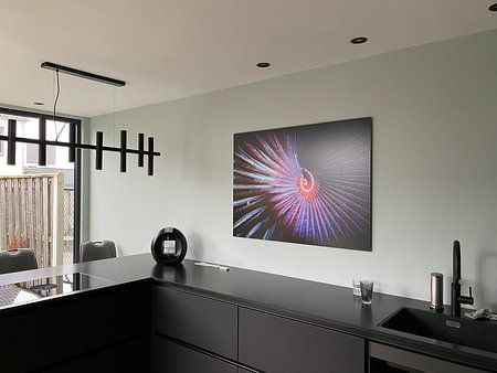 Pauwkokerworm close up, kleurrijk, abstract