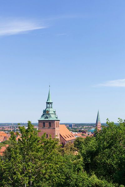 Stadtübersicht vom Kalkberg mit St. Michelis-Kirche,  Altstadt, Lüneburg, Niedersachsen, Deutschland von Torsten Krüger