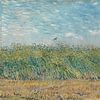 Vincent van Gogh, Korenveld met patrijs