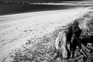 Strand aan de Waal
