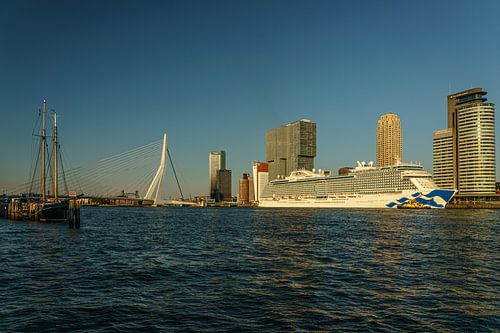 Cruiseschip "Enchanted Princess" bezoekt Rotterdam.