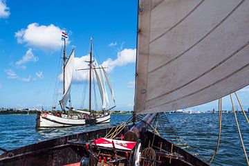 Sailing ships on the Warnow during the Hanse Sail in Rostock by Rico Ködder