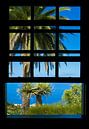 Beautiful  island  La Isla Bonita by Stoka Stolk thumbnail