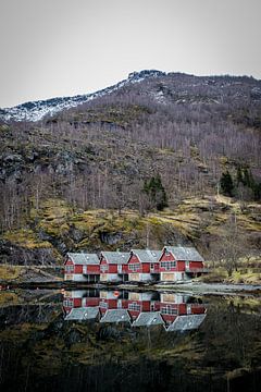 Petits chalets en Norvège sur Lydia