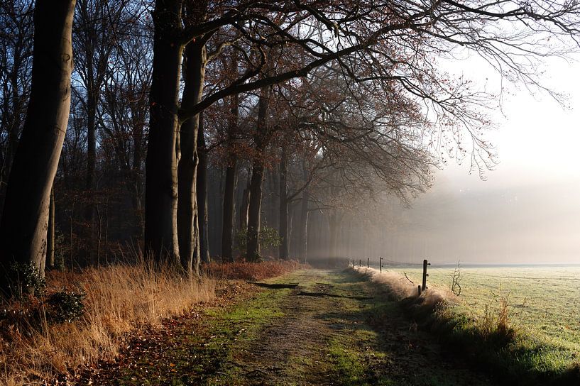 Staverden estate part 8 by Tania Perneel