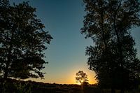 Zonsopgang in progress