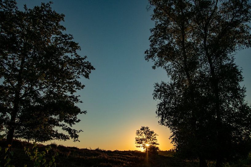 Sunrise in progress by Michael van Eijk