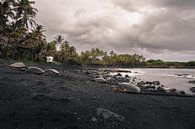 Zwart zandstrand Hawaï van road to aloha thumbnail