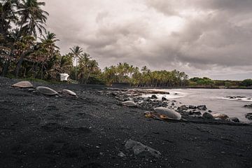 Black Sand beach Hawaii by road to aloha
