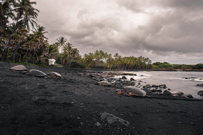 Zwart zandstrand Hawaï van road to aloha
