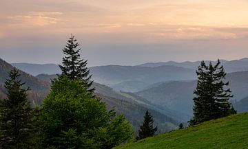 Bergpanorama van het Zwarte Woud in Duitsland van Animaflora PicsStock
