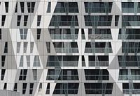 Rotterdam, Calypso