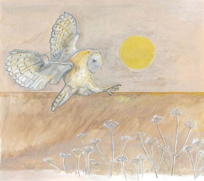 Barn owl by Tanja Koelemij