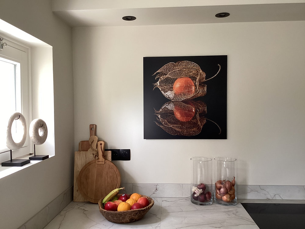 Physalis, von Klaus Grosshanten