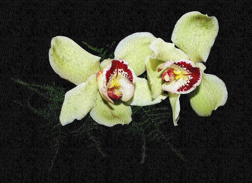 Orchid with floral relief by Jose Lok