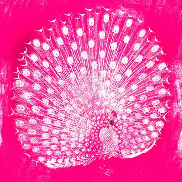 Peacock in pink by Mad Dog Art